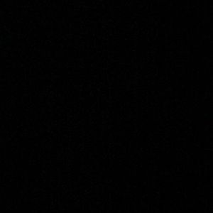 Meet your Posher, Lilly